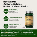 HojaSana NAD+ Supplement bottle side view