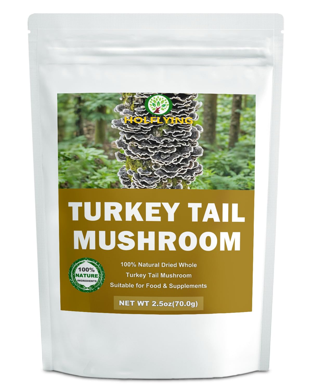 HOLFLYING Dried Whole Turkey Tail Mushrooms 2.5 oz front view