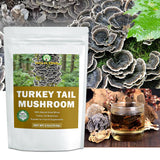 HOLFLYING Dried Whole Turkey Tail Mushrooms in a bowl