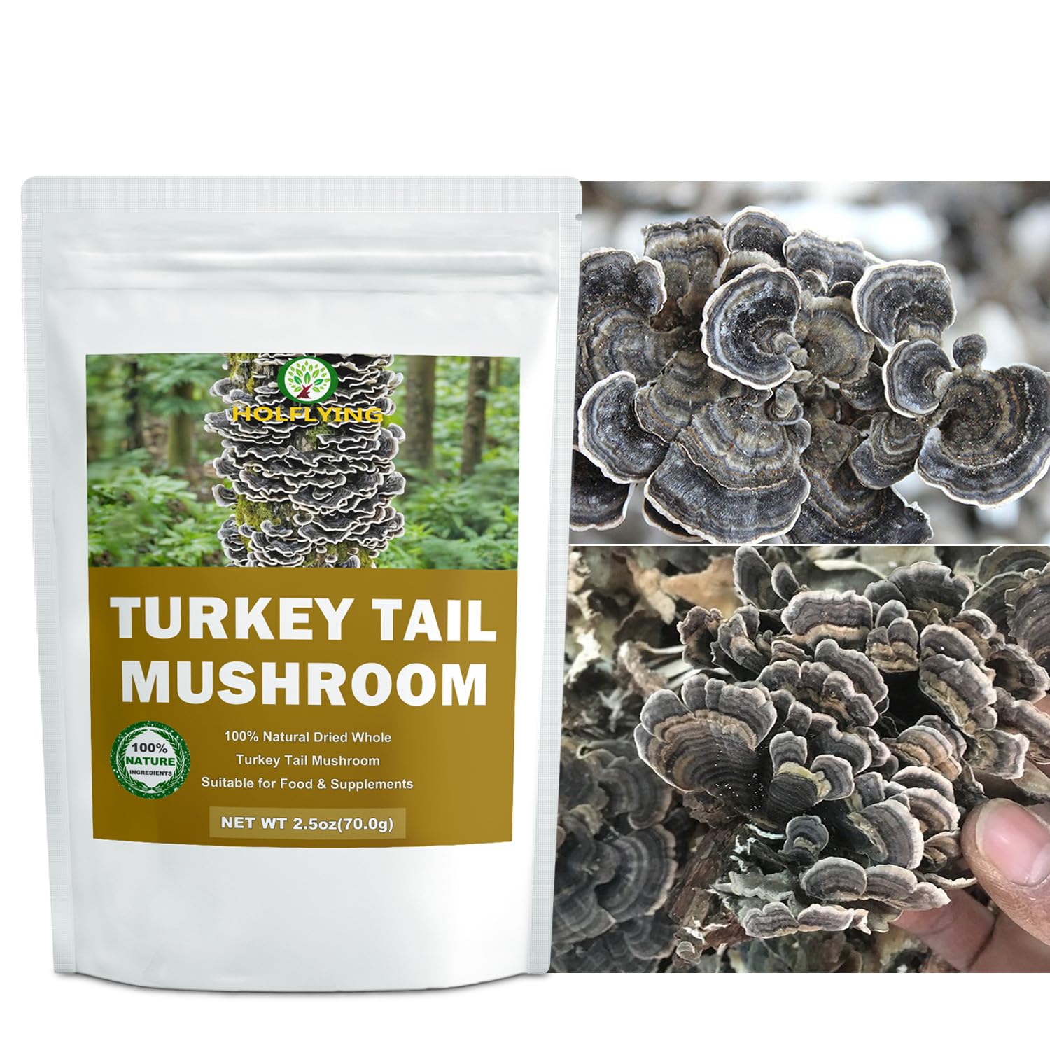 HOLFLYING Dried Whole Turkey Tail Mushrooms packaging detail