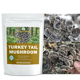 HOLFLYING Dried Whole Turkey Tail Mushrooms packaging detail