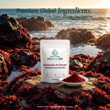 Holistic Bin Astaxanthin Powder on a kitchen counter