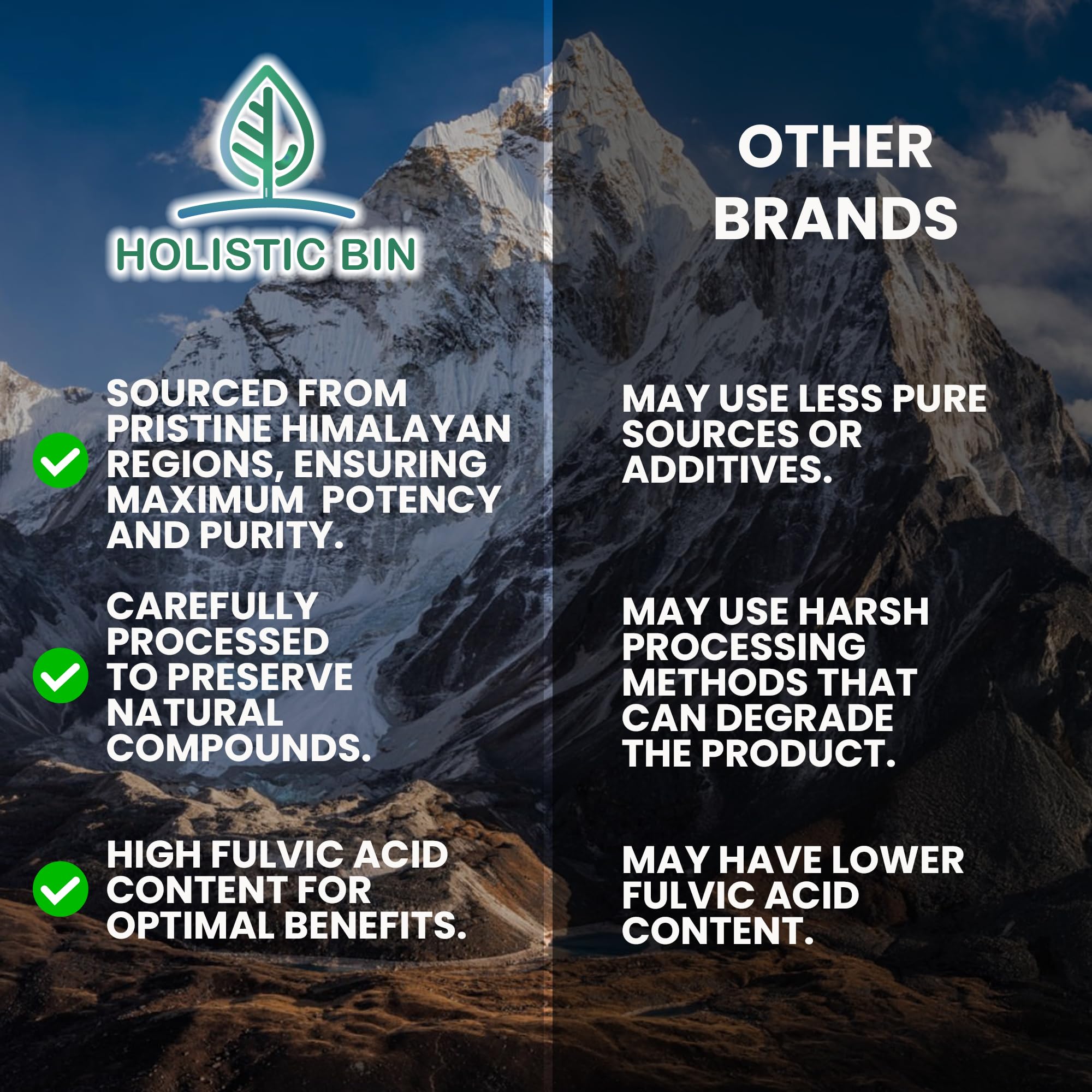 Holistic Bin Himalayan Shilajit Powder close-up of powder