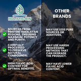 Holistic Bin Himalayan Shilajit Powder close-up of powder