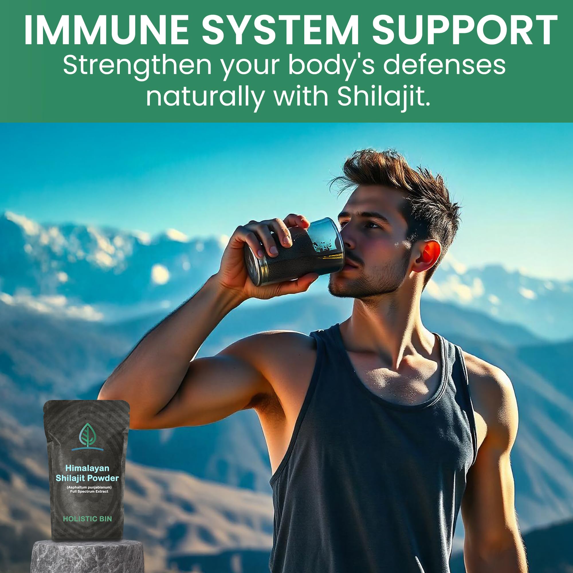 Holistic Bin Himalayan Shilajit Powder ingredients list