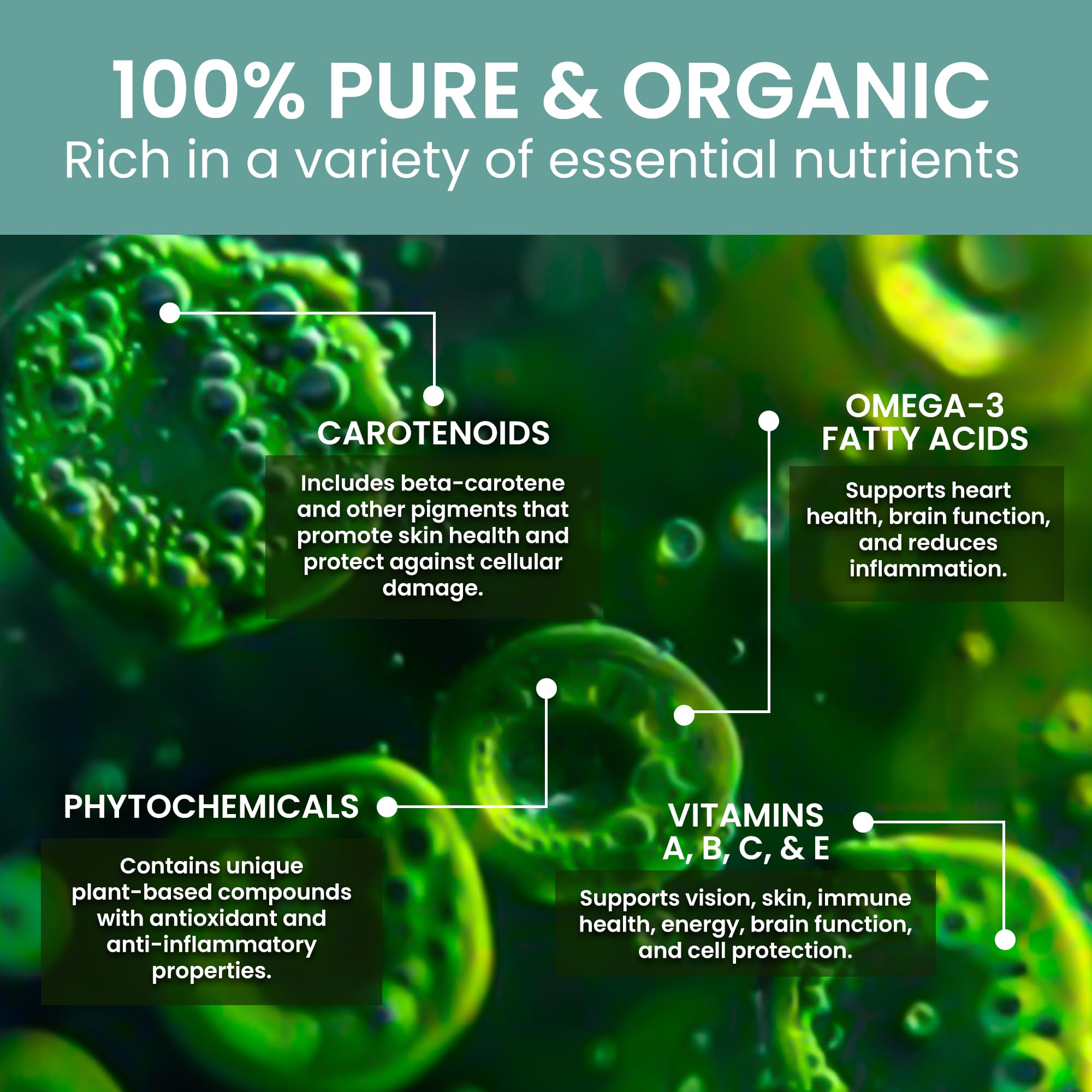 Holistic Bin Marine Phytoplankton Powder close-up of powder