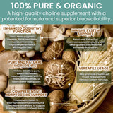 Holistic Bin Mushroom Powder Blend 50g in a smoothie