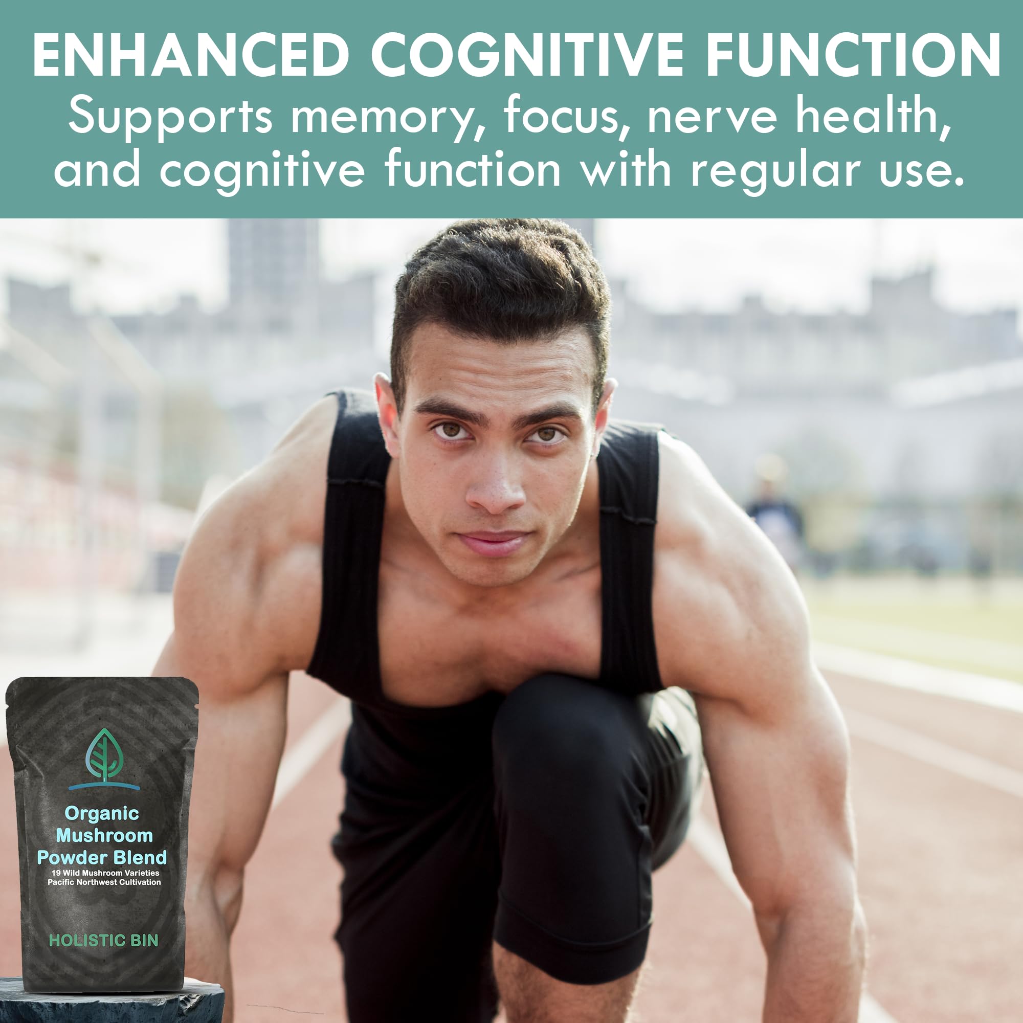 Holistic Bin Mushroom Powder Blend 50g with various mushrooms