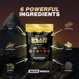 Holistic Hercules Himalayan Gold Shilajit Gummies close-up of gummies