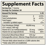 Holistic MD Shilajit Gummies nutritional information