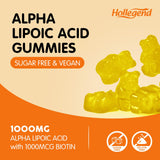 HOLLEGEND Alpha Lipoic Acid Gummies 1000mg in hand
