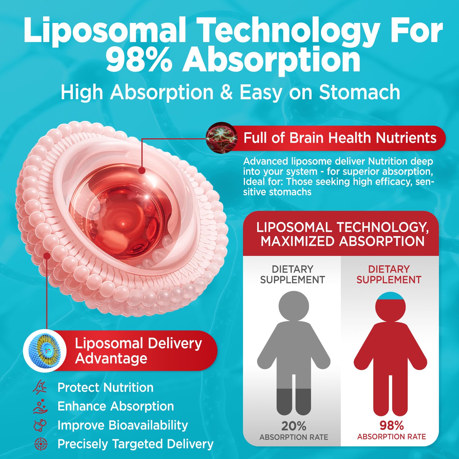 HOLLEGEND Brain Health Gummies nutritional information