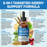 HOLLEGEND Organic Cranberry Supplement with herbal background