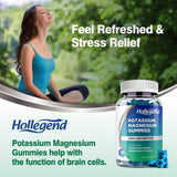 HOLLEGEND Potassium Magnesium Gummies on a table with fresh blueberries