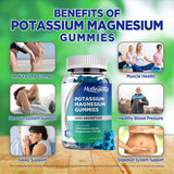 HOLLEGEND Potassium Magnesium Gummies side view with nutritional information
