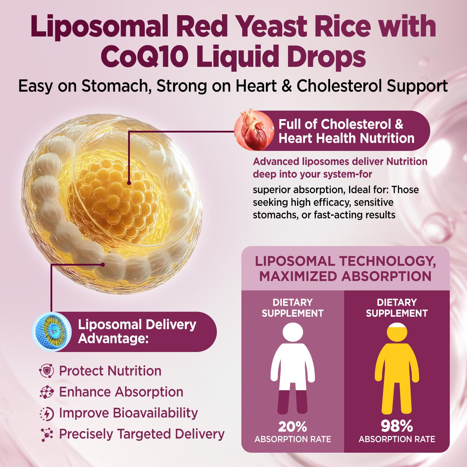 HOLLEGEND Red Yeast Rice Liquid Supplement packaging with ingredients list