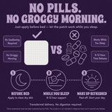 Homi Wellness Sleep Patches ingredients list