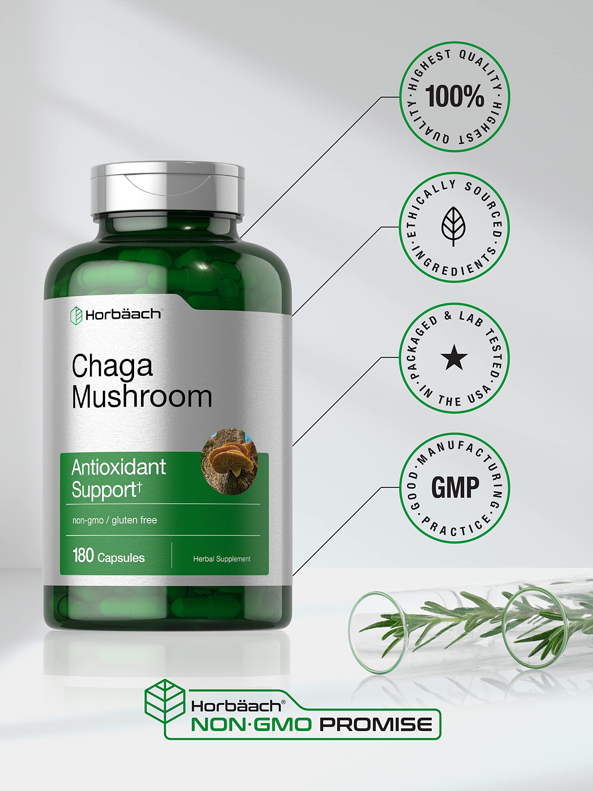 Horbäach Chaga Mushroom Capsules 600mg lifestyle scene with supplements