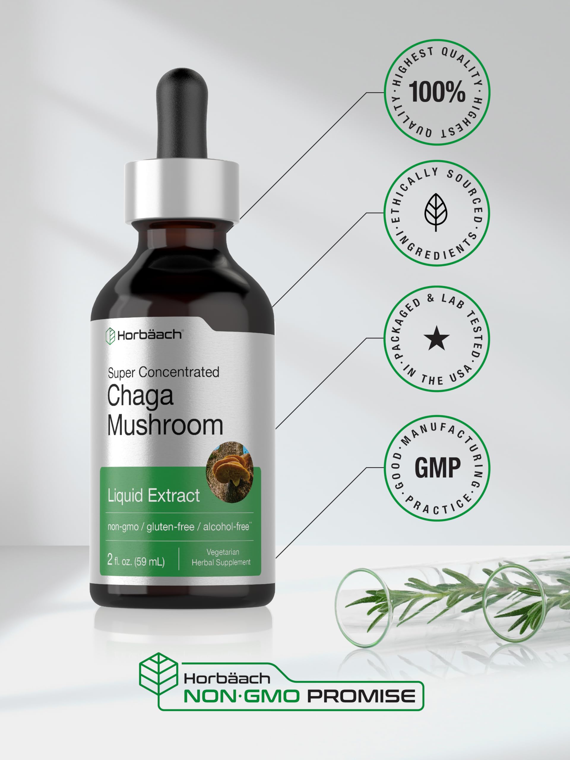 Horbäach Chaga Mushroom Extract 149g lifestyle scene