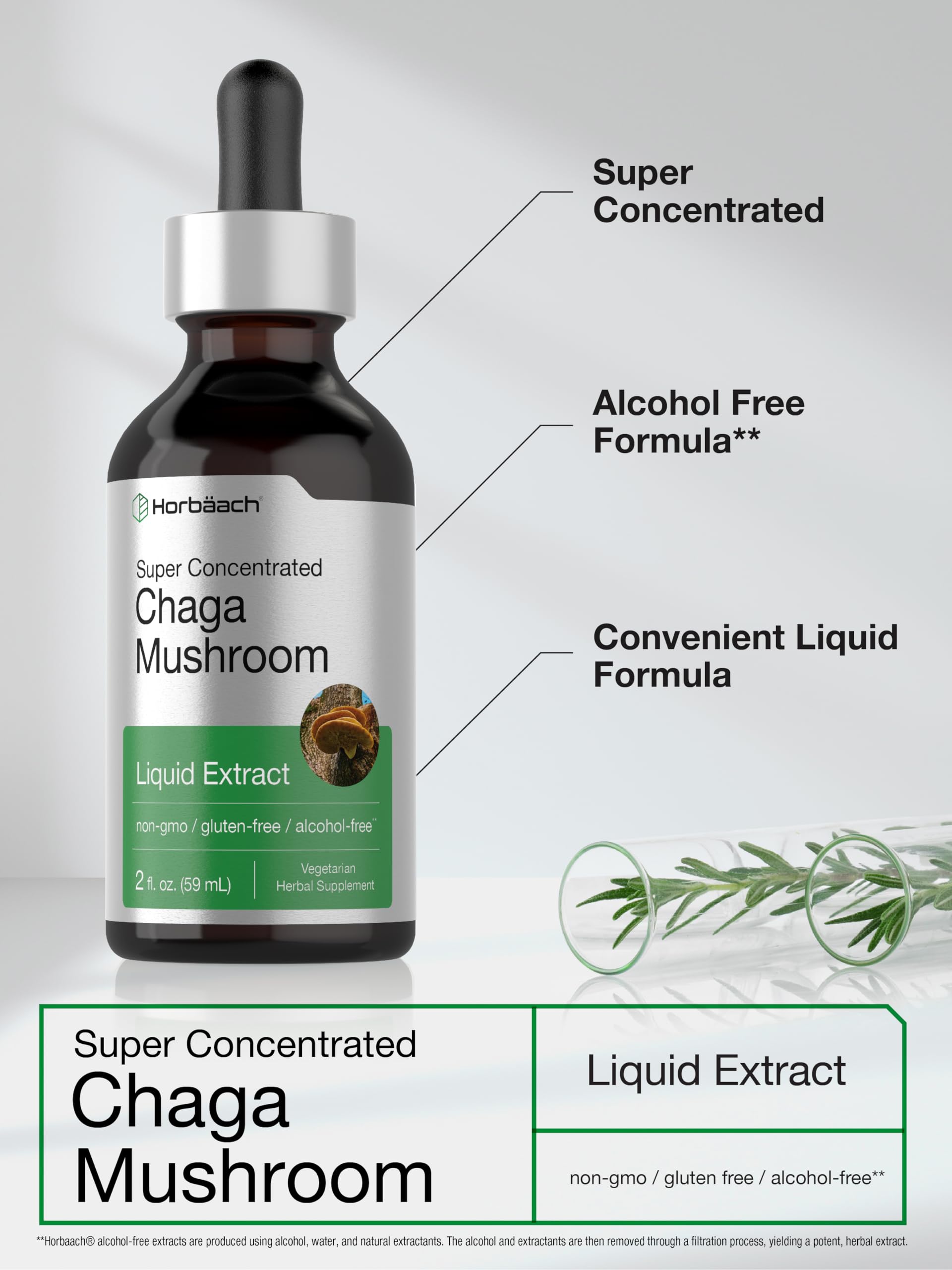 Horbäach Chaga Mushroom Extract 149g packaging