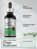 Horbäach Chaga Mushroom Extract 149g packaging