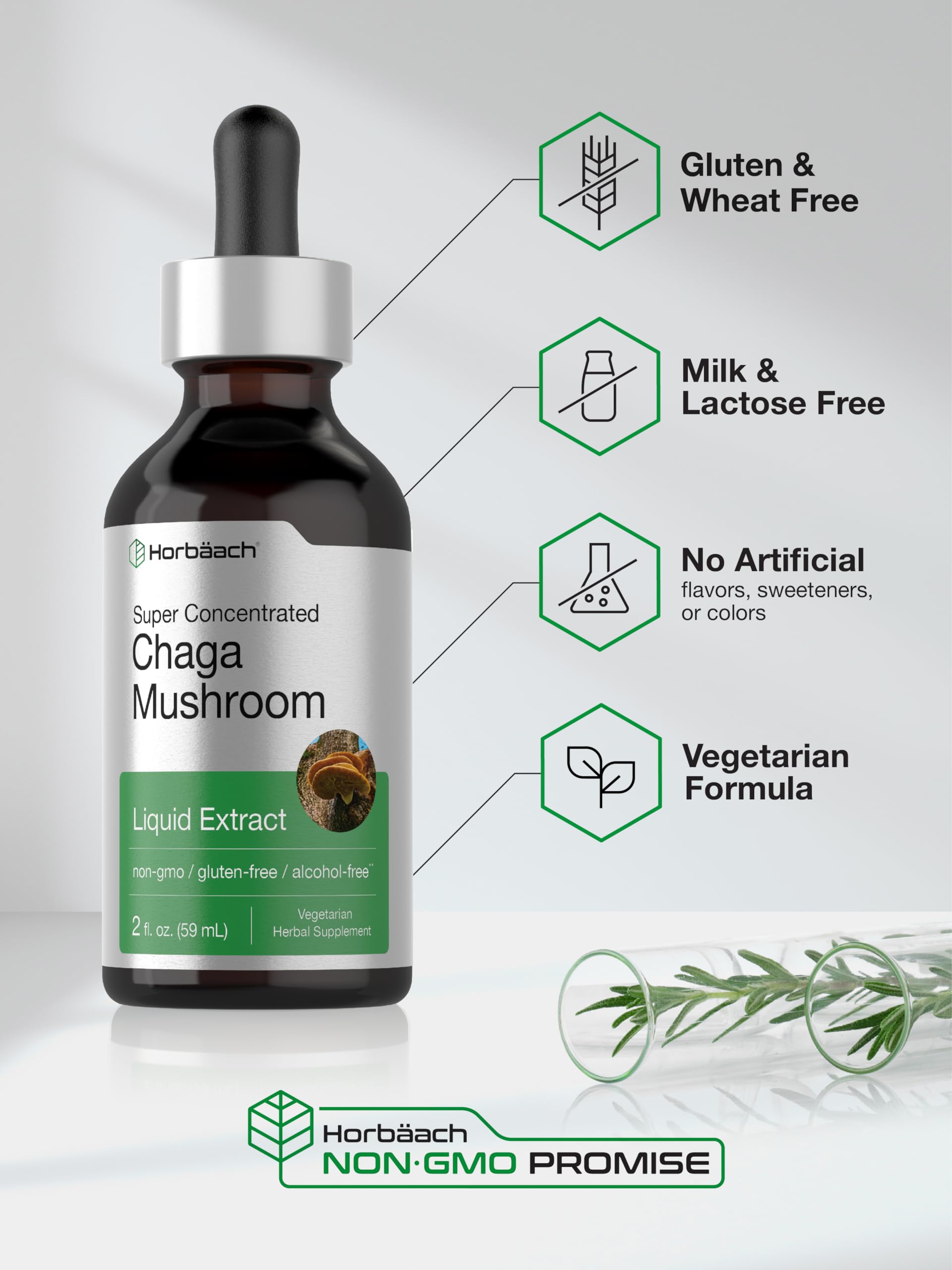 Horbäach Chaga Mushroom Extract 149g with dropper