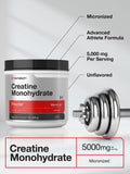 Horbäach Creatine Monohydrate powder in a scoop