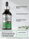 Horbäach Echinacea & Goldenseal Liquid Extract in a lifestyle setting on a wooden table