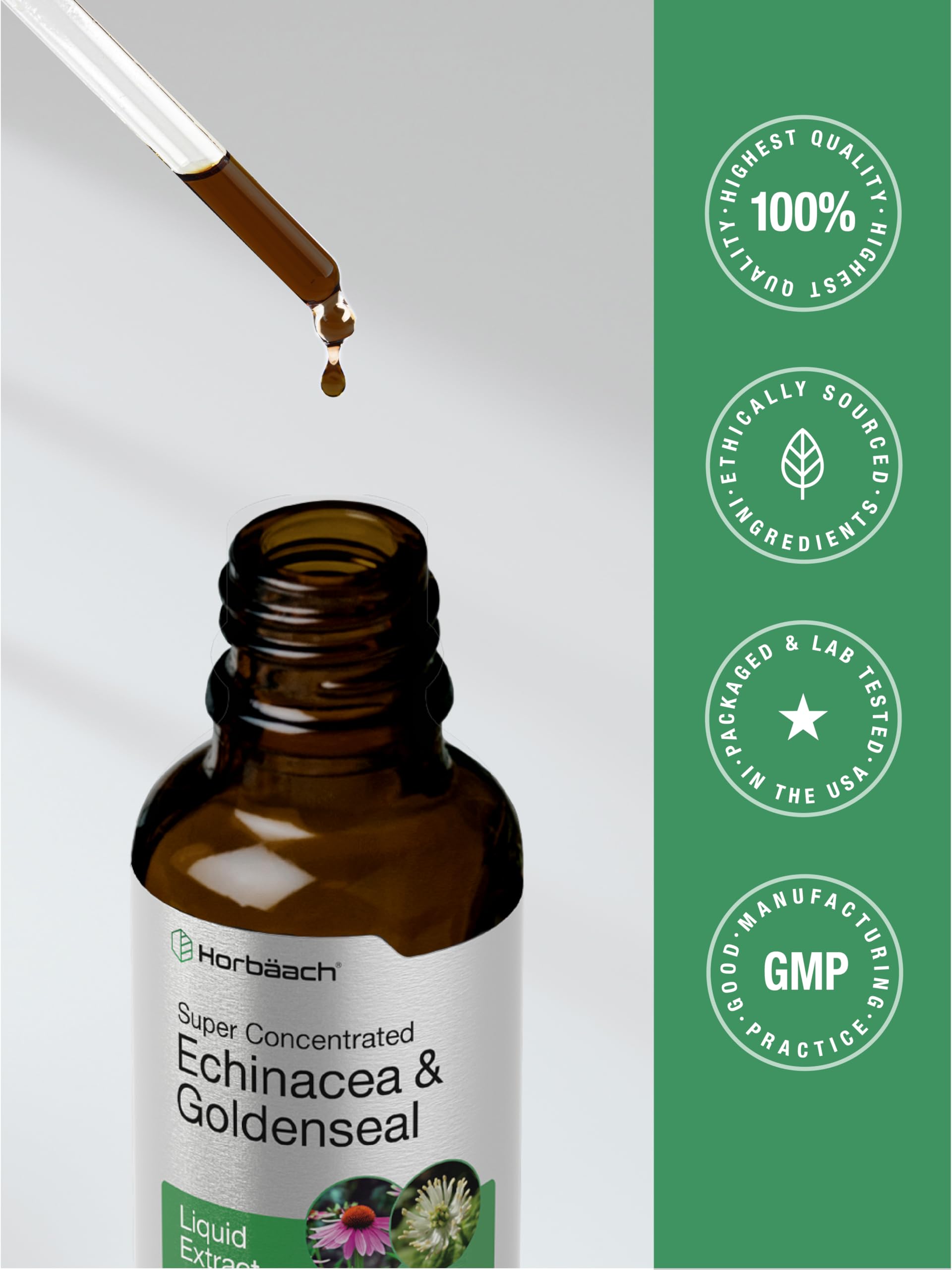 Horbäach Echinacea & Goldenseal Liquid Extract with fresh herbs