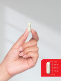 Horbäach Essential Amino Acids 3000mg capsules on a gym bench