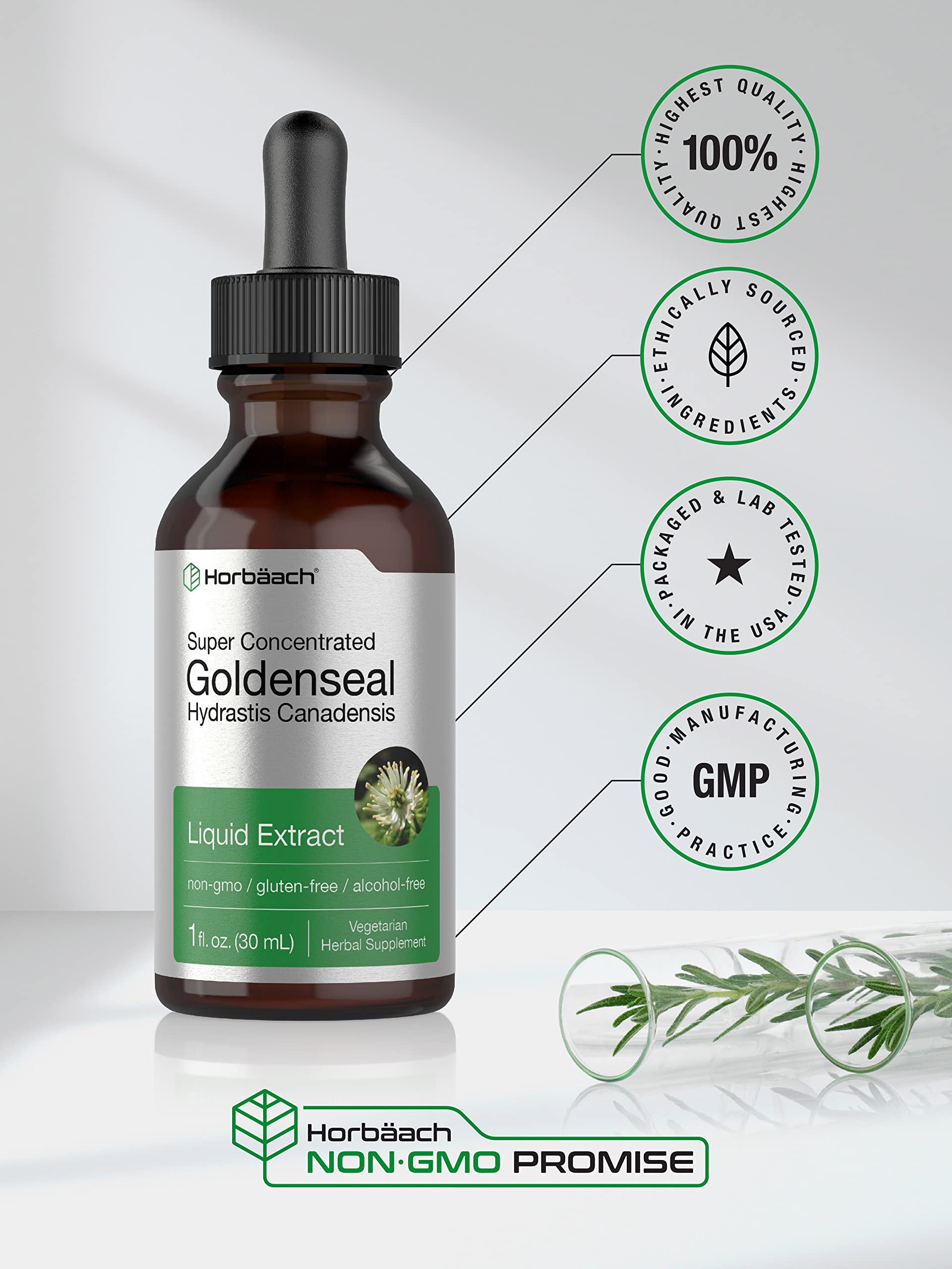 Horbäach Goldenseal Liquid Extract 68g back view