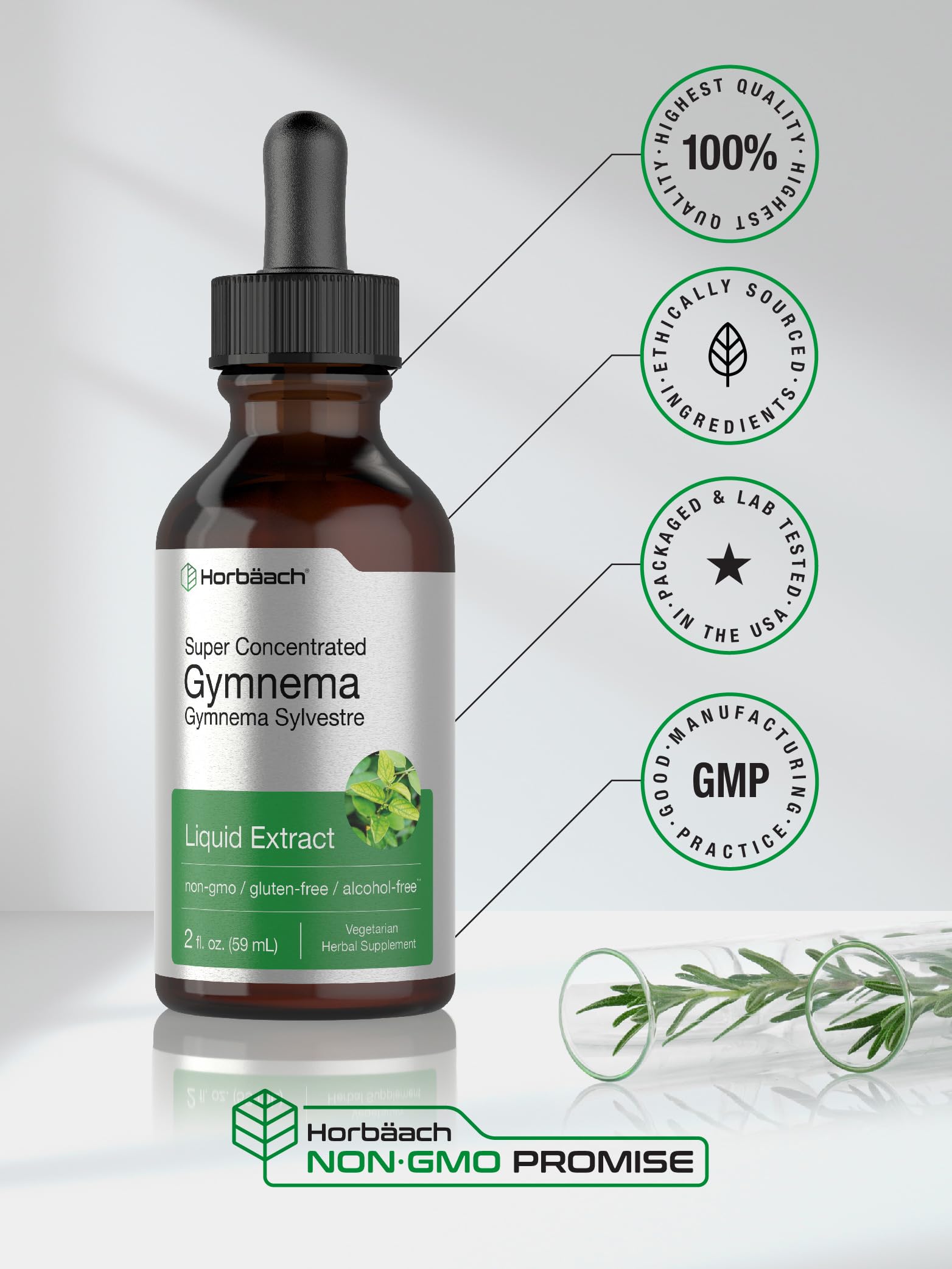 Horbäach Gymnema Sylvestre Alcohol-Free Liquid Extract ingredients list
