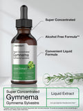 Horbäach Gymnema Sylvestre Alcohol-Free Liquid Extract side view