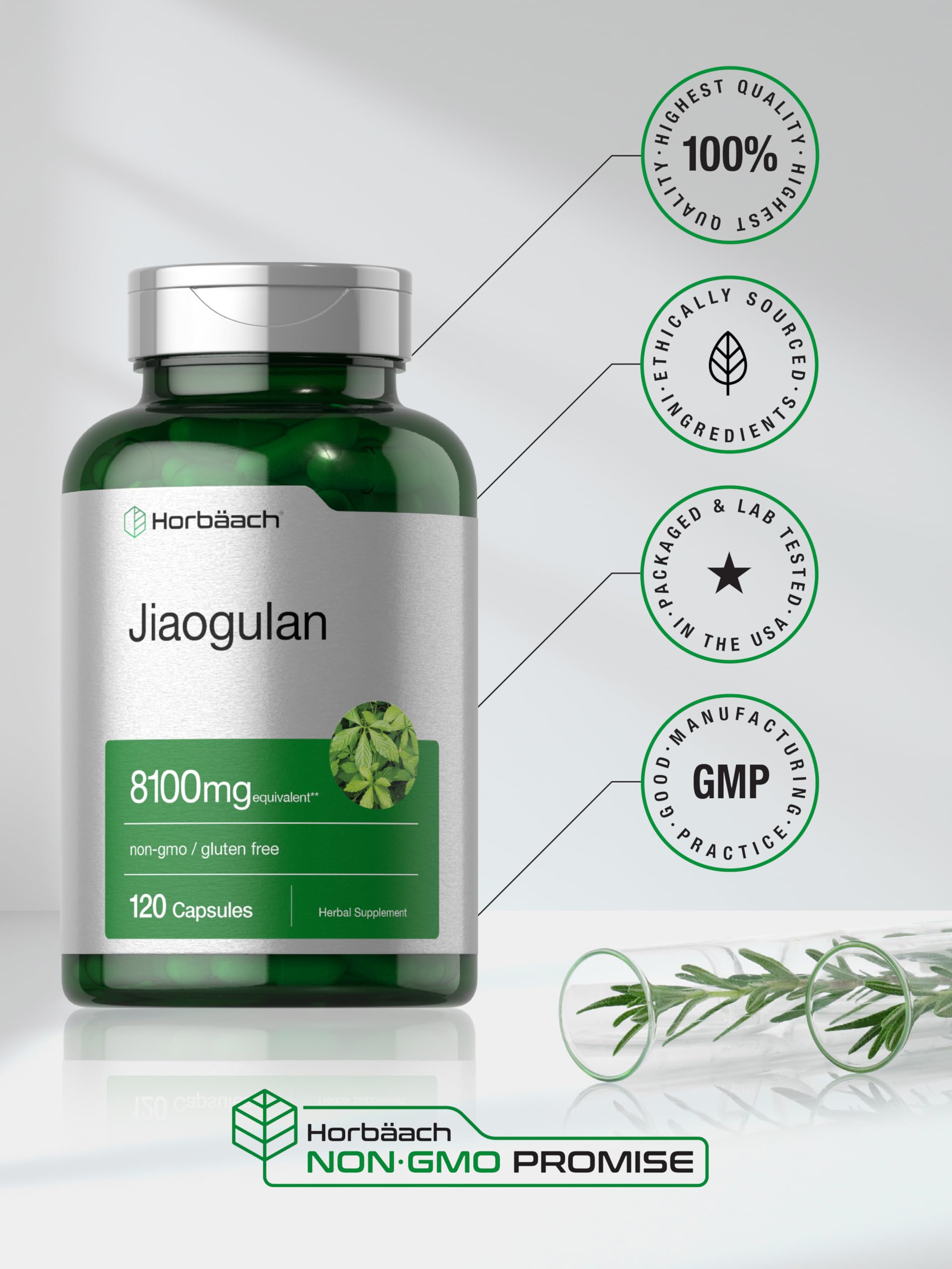 Horbäach Jiaogulan Extract Capsules in a lifestyle setting