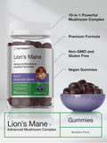 Horbäach Lion's Mane Mushroom Complex 200g packaging with blueberry design