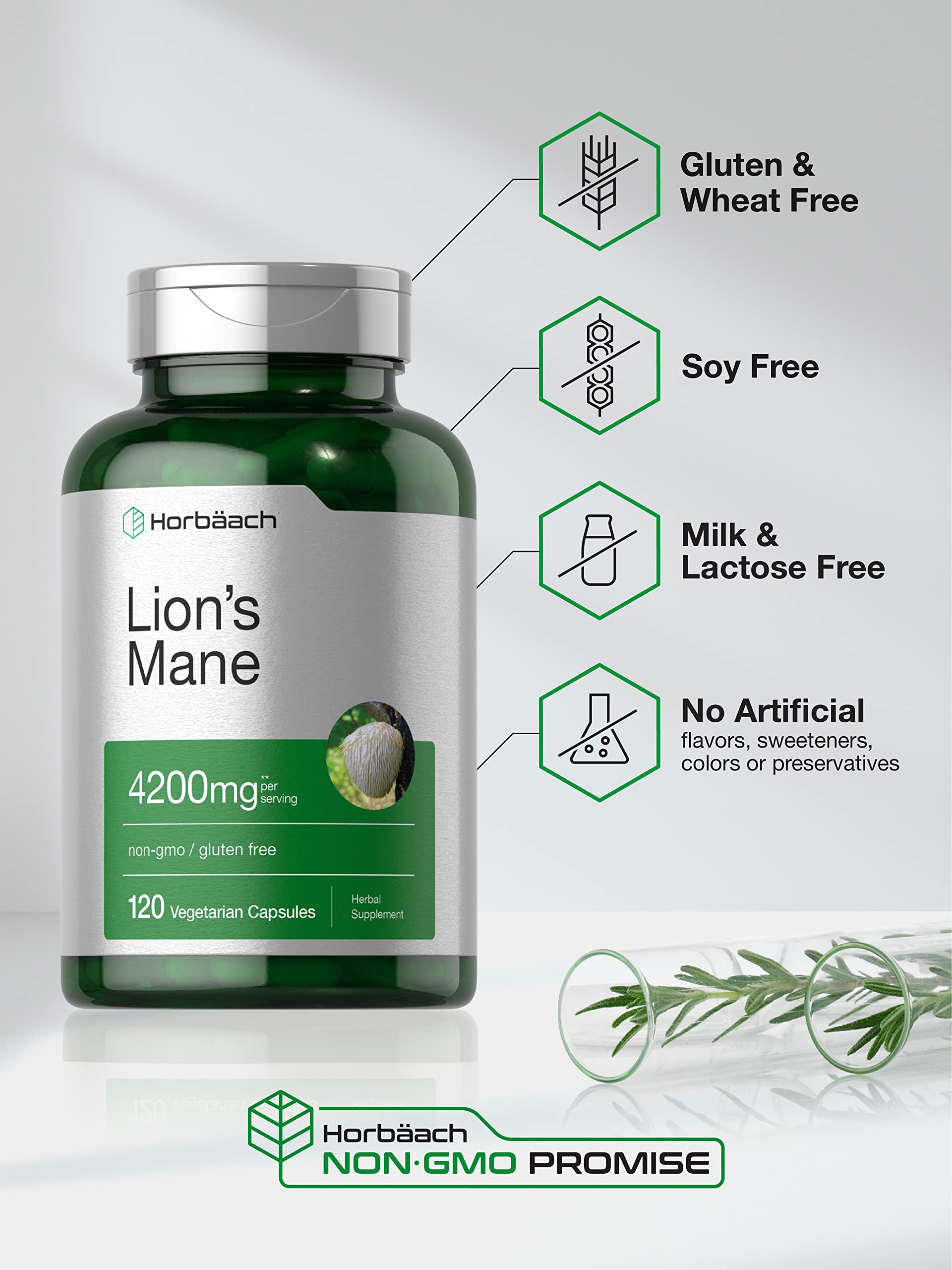 Horbäach Lion's Mane Mushroom Supplement ingredients list