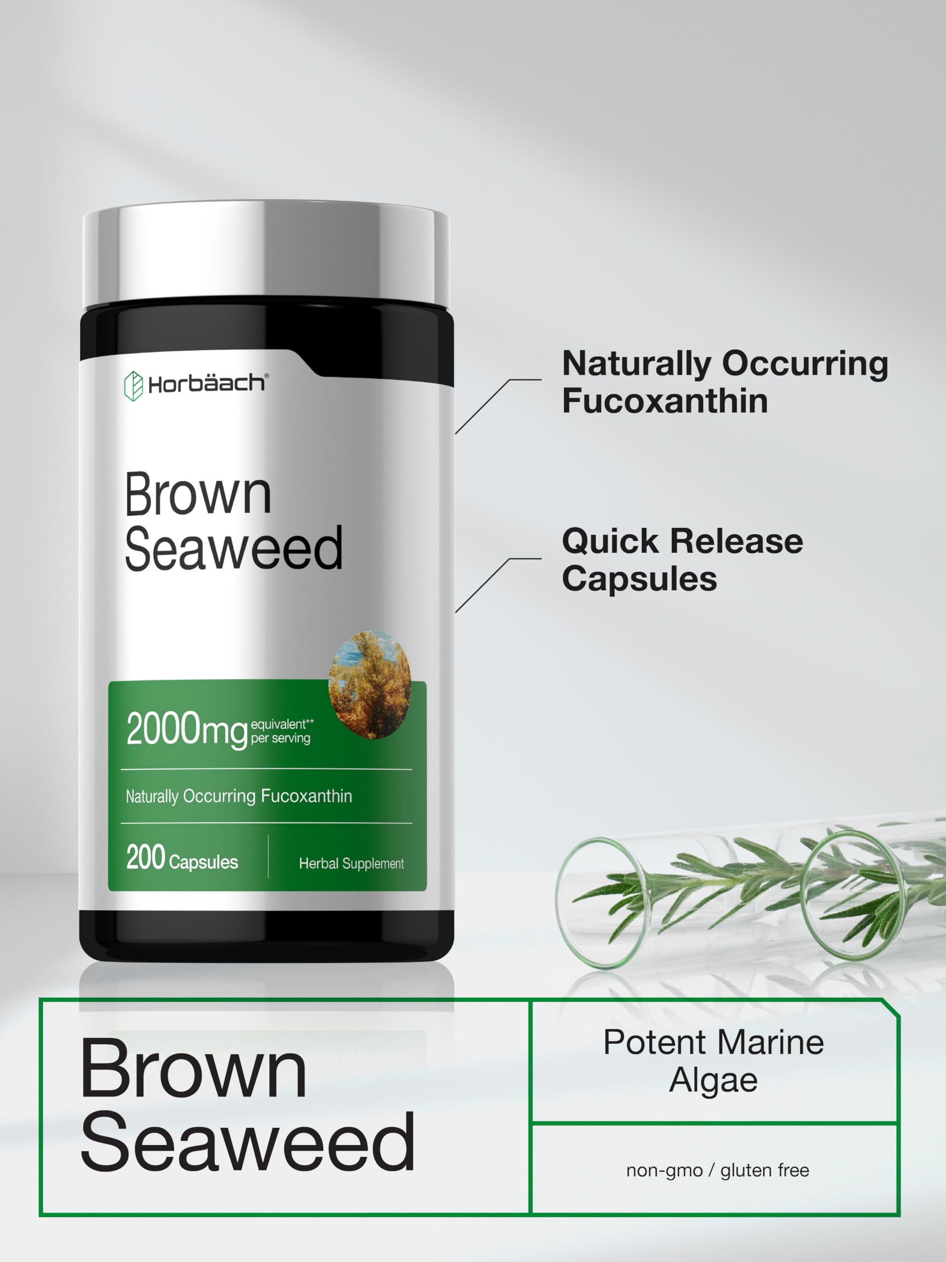Horbäach Marine Algae & Green Tea Extract Capsules ingredients list