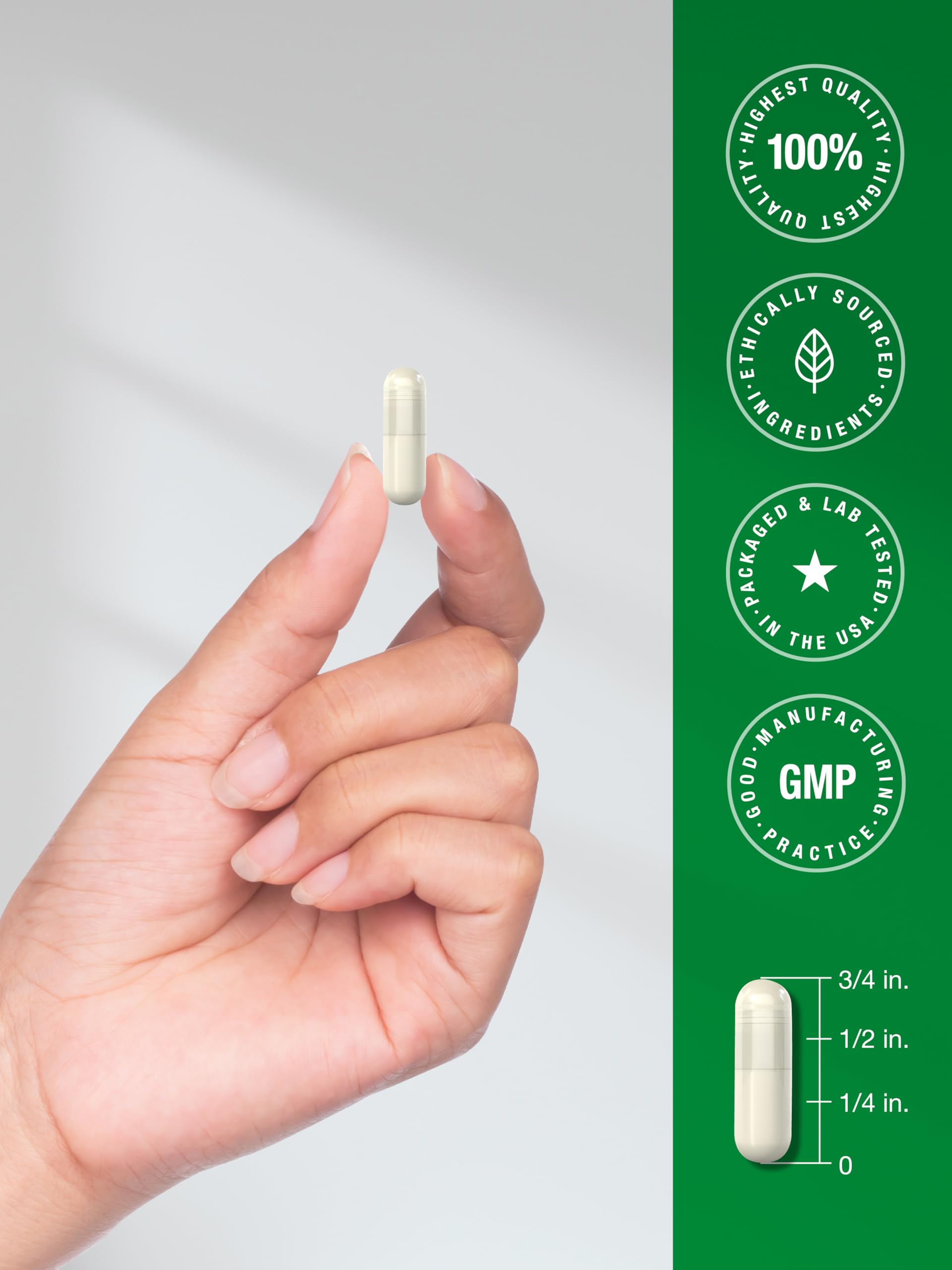 Horbäach Marine Algae & Green Tea Extract Capsules with a measuring spoon