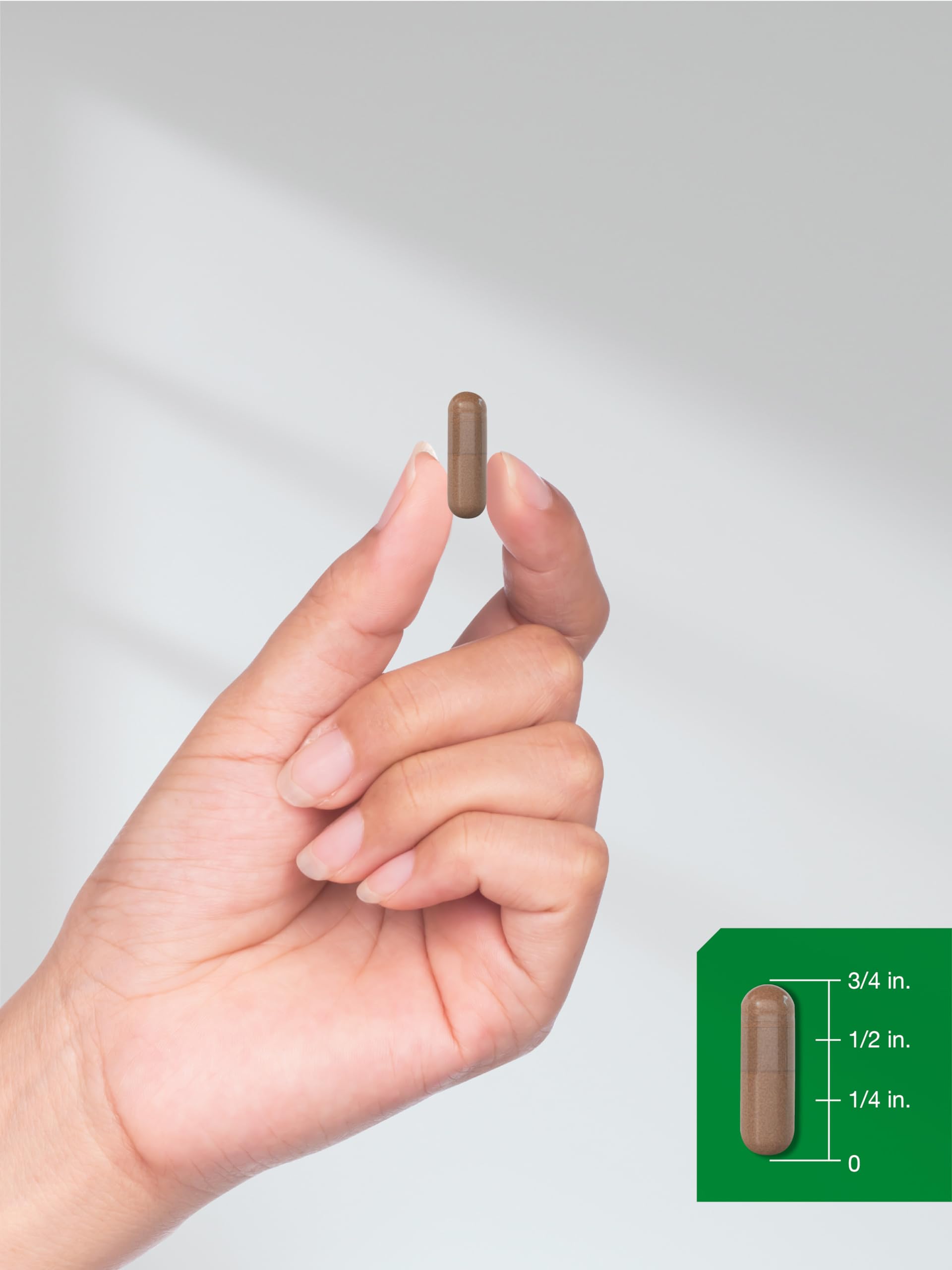 Horbäach Pine Bark Extract Capsules opened bottle showing capsules