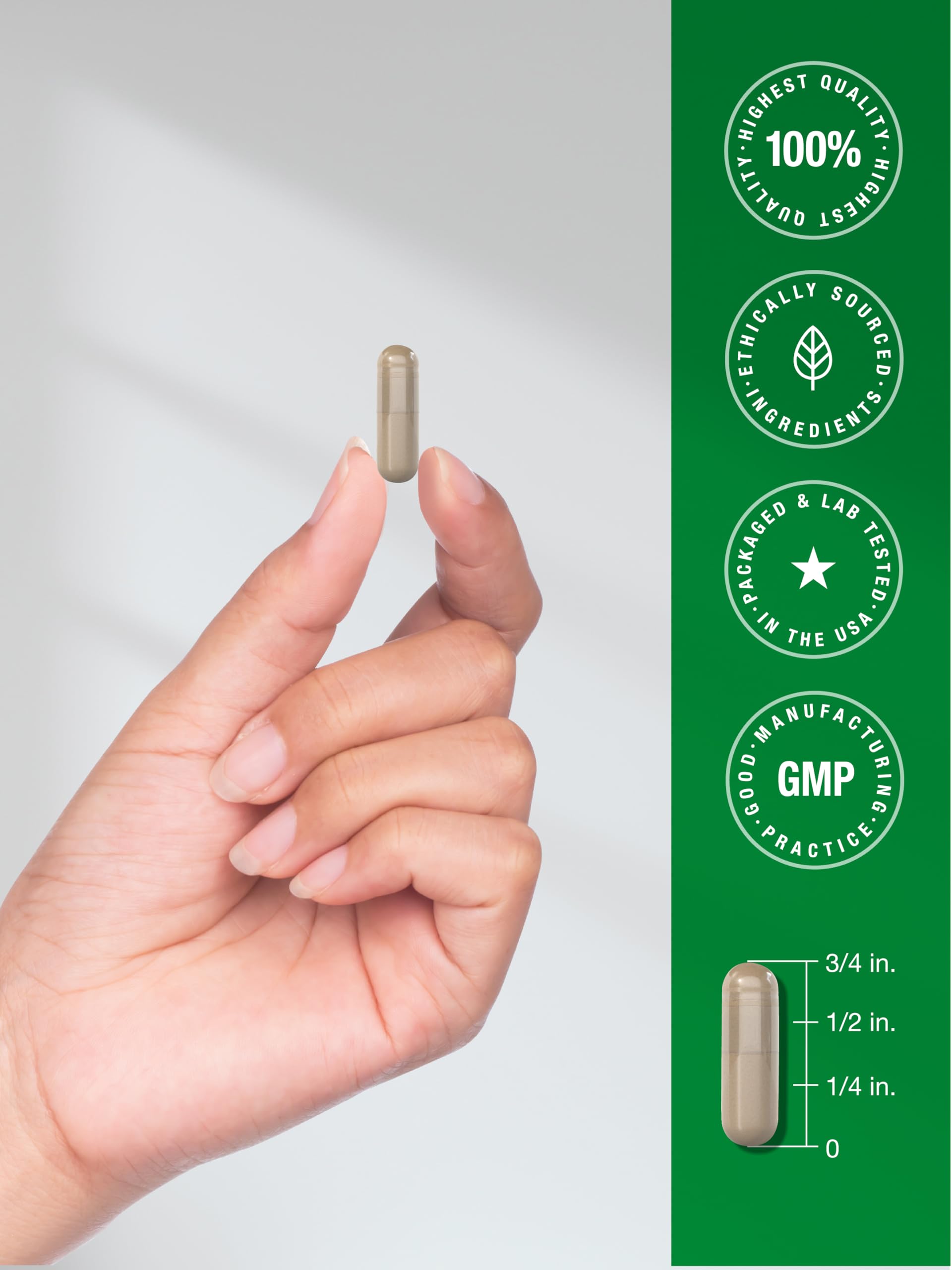 Horbäach Rhodiola Rosea Capsules displayed with herbal background