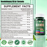 Horjoy SeaMoss capsule supplement side view with label