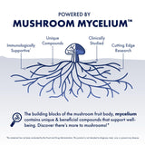 Host Defense Agarikon Mushroom Supplement bottle top view