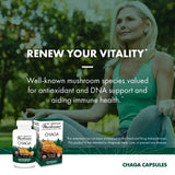 Host Defense Chaga Mushroom Capsules on a wooden table