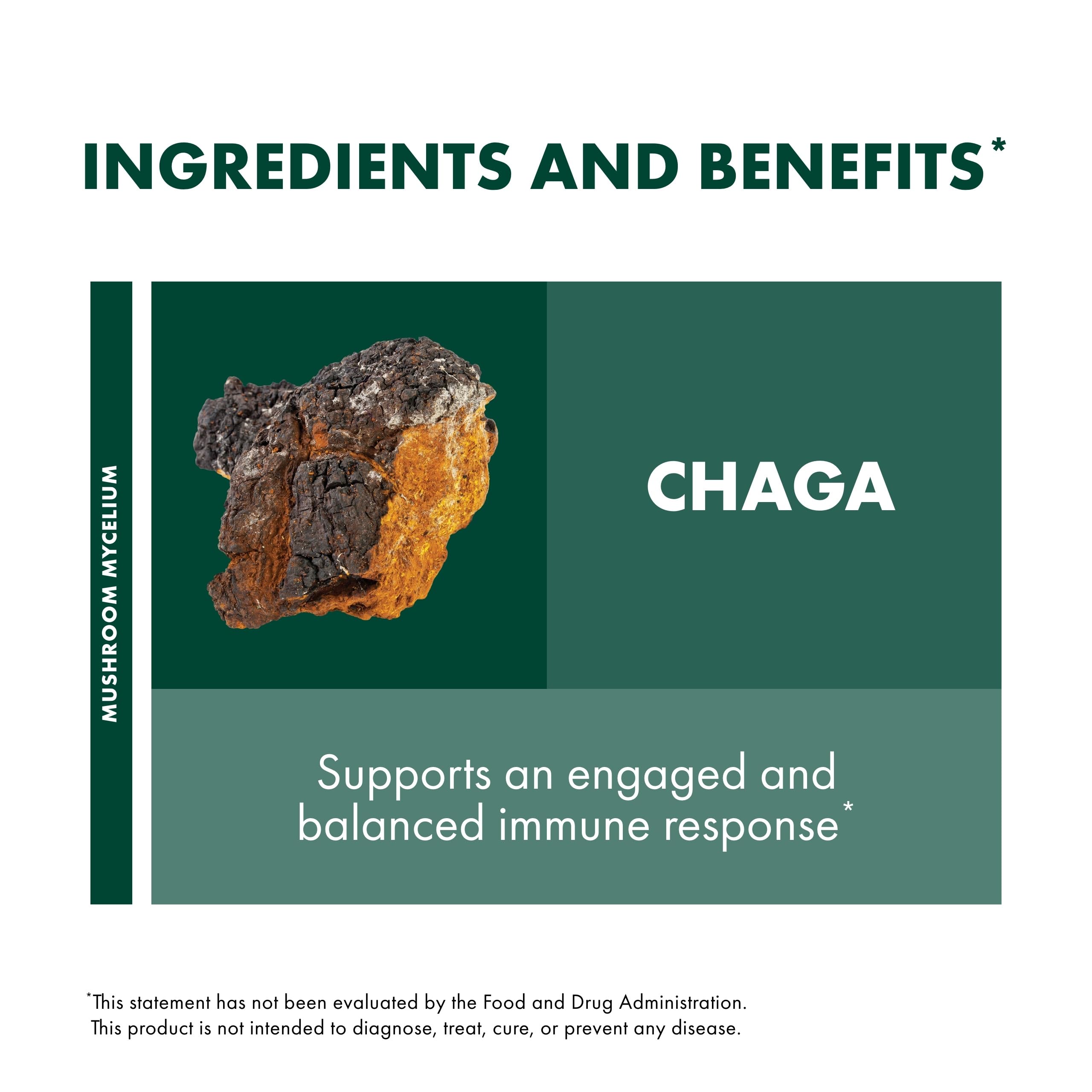 Host Defense Chaga Mushroom Capsules with organic brown rice