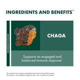 Host Defense Chaga Mushroom Capsules with organic brown rice