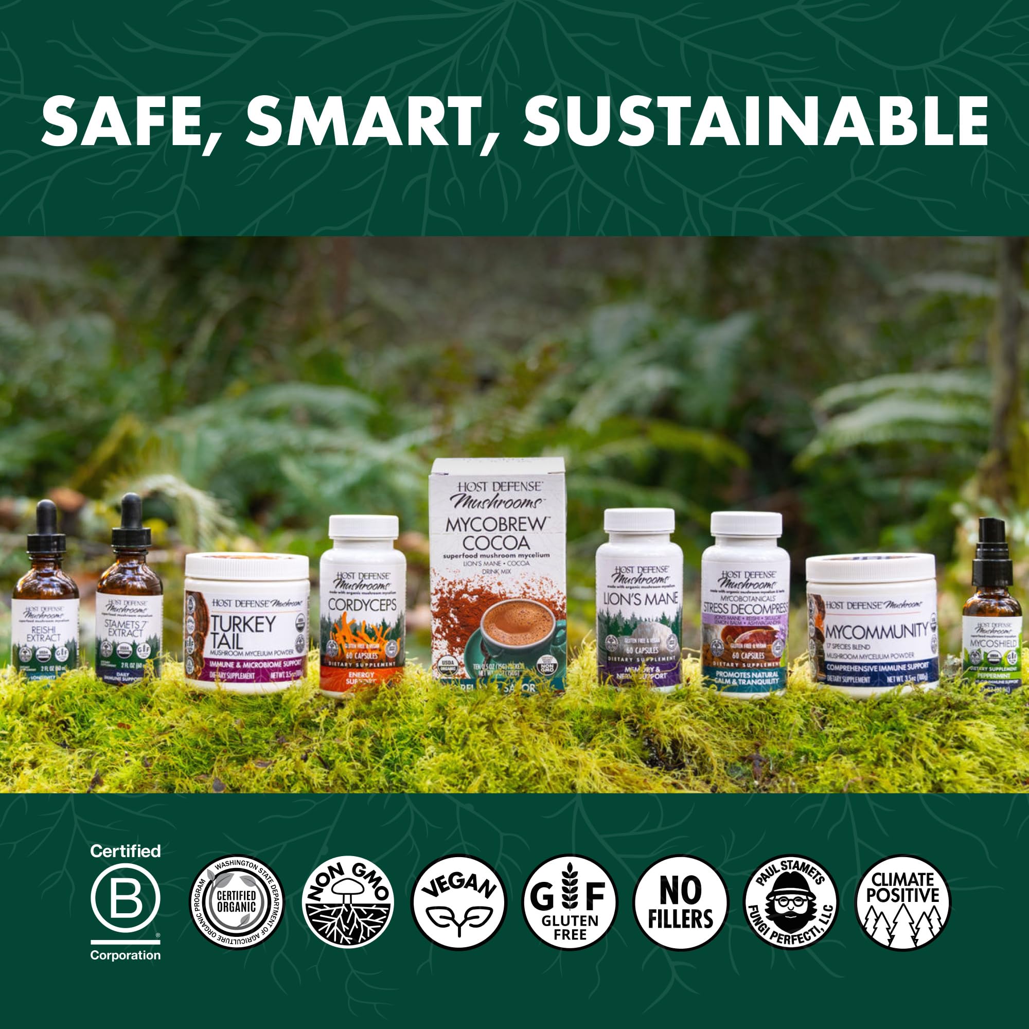 Host Defense Chaga Mushroom Extract 27g lifestyle scene
