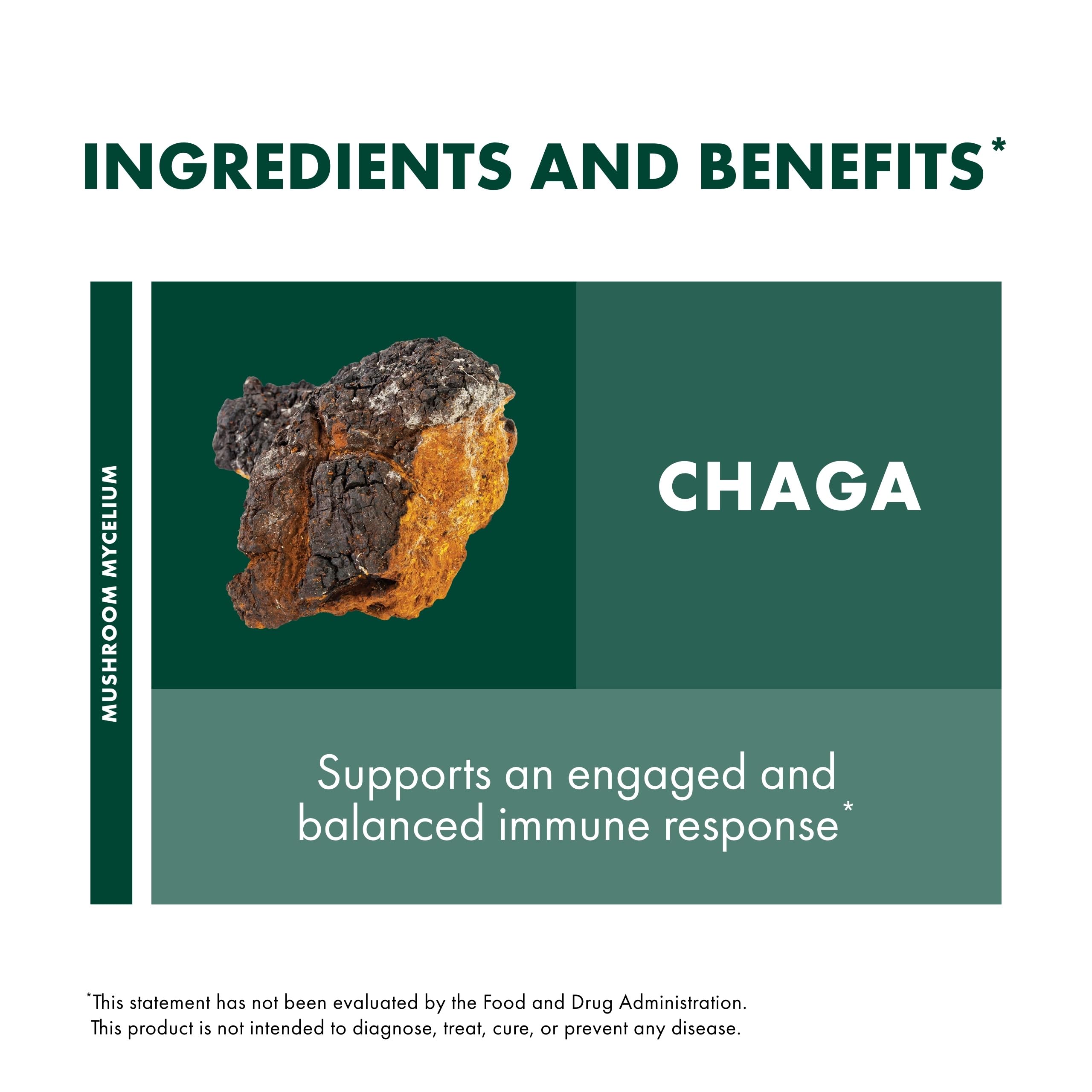 Host Defense Chaga Mushroom Powder lifestyle scene