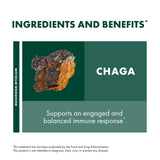 Host Defense Chaga Mushroom Powder lifestyle scene