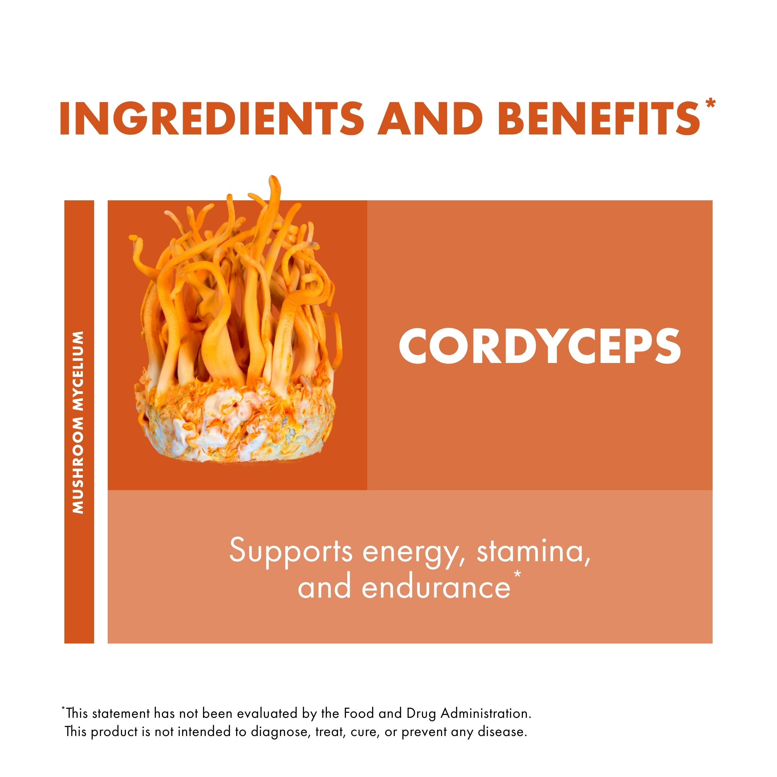 Host Defense Cordyceps Mushroom Capsules with ingredients list