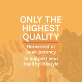 Host Defense Cordyceps Mushroom Extract 136g close-up of dropper